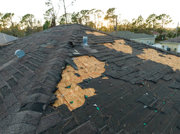 Best Roof Insulation Installation  in Abilene, KS